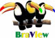 Braview