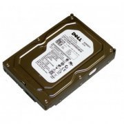 DELL HD 250GB SATA 7.2K RPM 3.5 Pol Sem drive tray