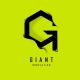 Giant Innovation