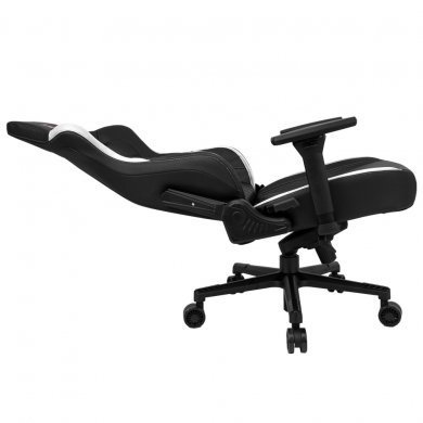 11234-1 DT3 Sports Cadeira Elite Series Rhino