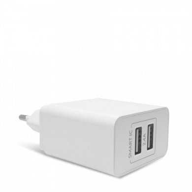 1413 iWill Carregador de Parede 12W 2x USB 5V 2.4A
