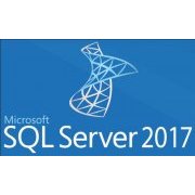 Microsoft SQL Server Standard 2017 Standard Open Business
