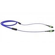 Furukawa Cabo Optico Conectorizado 12F SM BLI-A/B G-657A MPO12APC(M) MPO12APC(M)0.8D3/0.8D3 UT LSZH Tipo B 25 