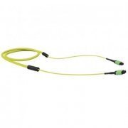 FURUKAWA  Cable conectorizado  12FO OM4 30m MPO12-UPC(M)/MPO12-UPC(M) 0.8D3/0.8D3 - UT - LSZH - ACQUA - TIPO B