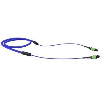 FURUKAWA  Cable conectorizado  12FO OM4 30m