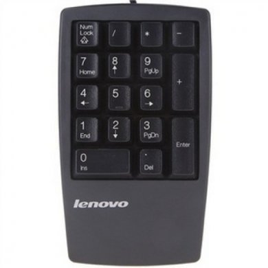 33L3225 Teclado Numérico Lenovo USB 2.0 Preto