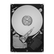 DELL HD SATAII 2TB 7.2K 3.0Gbps 16MB 3.5 Polegadas com Drive Tray