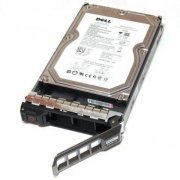 DELL HD 1TB SAS 7.2K Near Line 3.5 Pol. com Drive Tray