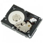 HD DELL 1TB SAS 7200RPM 6Gbs 3.5 Polegadas, Compatível com Dell MD1000