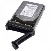 Hard Disk Dell 1TB SAS Near Line 6Gb/s 3.5 Polegadas, 7200 RPM, Hot Plug para Dell Storage MD3200i