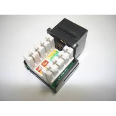 Conector Fêmea keystone AMP CAT.5