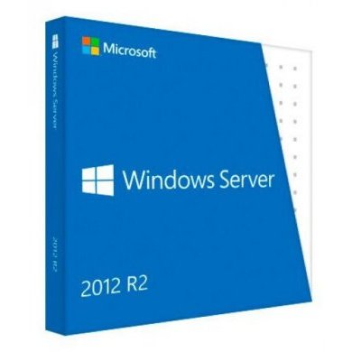 47C9313MD IBM Windows Server Essentials 2012 2 CPU