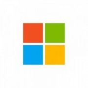 Microsoft Office Professional Plus 2019 GOV OLP 1License NoLevel