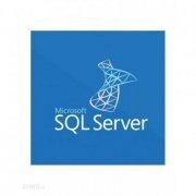Microsoft SQL Server Standard 2019 GOV 