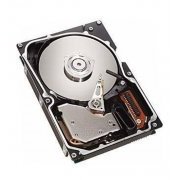 HD SCSI IBM 146GB U320 15K RPM, 80 Pinos Hot Swap, 8MB, com Drive Tray IBM X-Series, Taxa de Transferência (Ma