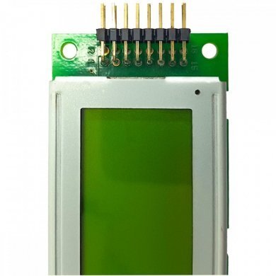 AC202BYI Display LCD 16x3cm verde com black bignumber