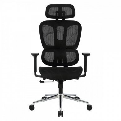 Bluecase Cadeira Office Ergo Master preto