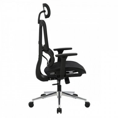 Bluecase Cadeira Office Ergo Master preto