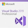 Microsoft Visual Studio Professional 2019 OPEN 