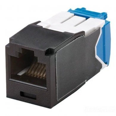 CJ6X88TGBL Panduit Conector RJ45 Fêmea CAT6A UTP TG Preto