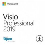 Microsoft Visio Professional 2019 OPEN Gov Licença Perpétua OPEN