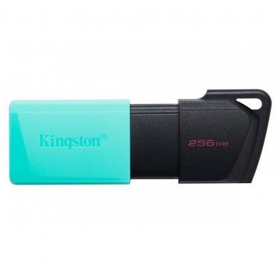 Kingston Pendrive 256GB DataTraveler Exodia M