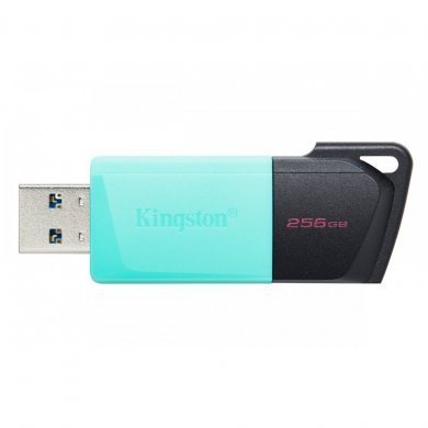 Kingston Pendrive 256GB DataTraveler Exodia M