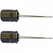 Capacitor eletrolitico Panasonic 100uF 50V (Kit 2x) 2