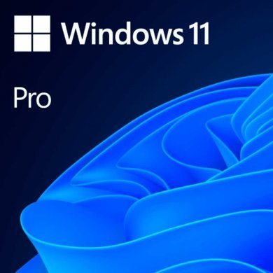 FQC-10520 MICROSOFT WINDOWS 11 PRO 64 BITS OEM