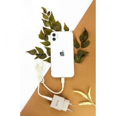 Gorila Shield Carregador de Parede Ecoo 12W