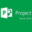 Microsoft Project Server 2019 OPEN Single (Licença por Volume)