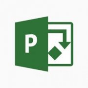 Microsoft Project Professional 2019 Open 