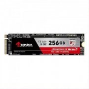 Keepdata SSD 256GB M.2 NVMe PCIe 3.0 x4 leitura 2500MB/s e escrita 1300MB/s