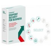 Kaspersky Endpoint Security for Business 