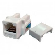 Conector keystone CAT.6 RJ45 fêmea branco (kit com 10) 