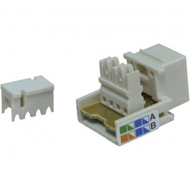 MI7104 Conector RJ11 CAT3 6x4 femea mega polo bege
