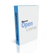 Microsoft Windows Server Standard 2008 R2 Single OLP NL - Microsoft Open