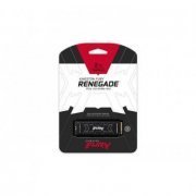 Kingston SSD 2TB M.2 NVMe Fury Renegade PCIe 4.0 Leit