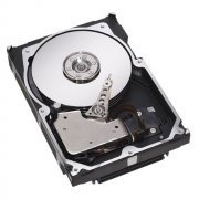 Seagate HD SCSI 146GB U320 15K 68 Pinos 16MB Cache