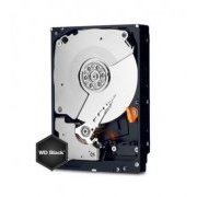 WD HD Black 1TB SATA 7200RPM 64MB Cache 3.5 Polegadas, 6Gbps