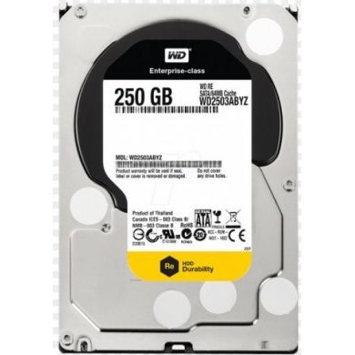 WD2503ABYZ WD HD 250GB SATA 6Gb/s RE 3.5 Polegadas