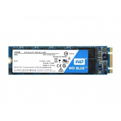 WDS250G1B0B WD Blue SSD M.2 2280 250GB 6GB/s