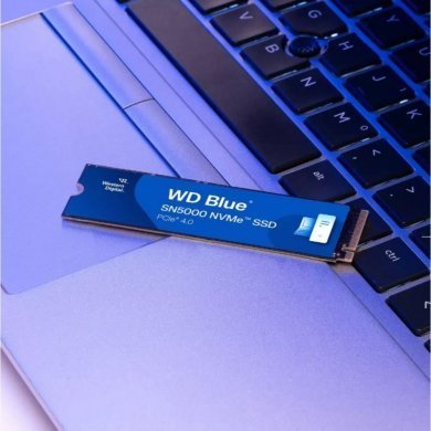 WD Blue SN5000 500GB, M.2 2280 Azul